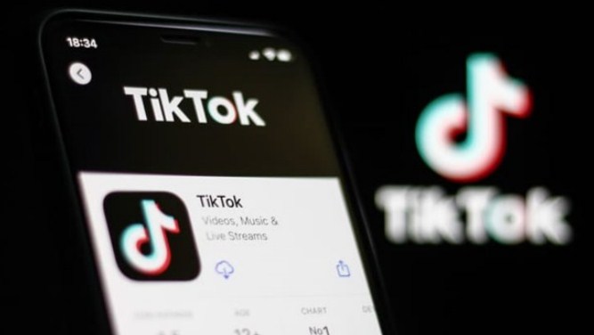 Download aplikasi Tiktok tanpa watermark di HP