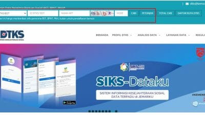 Cara check ID di dtks.kemensos.go.id