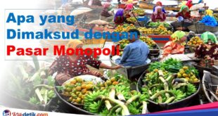 Apa yang Dimaksud dengan Pasar Monopoli