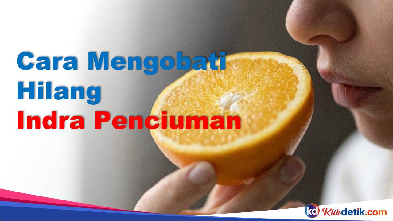 Cara Mengobati Hilang Indra Penciuman