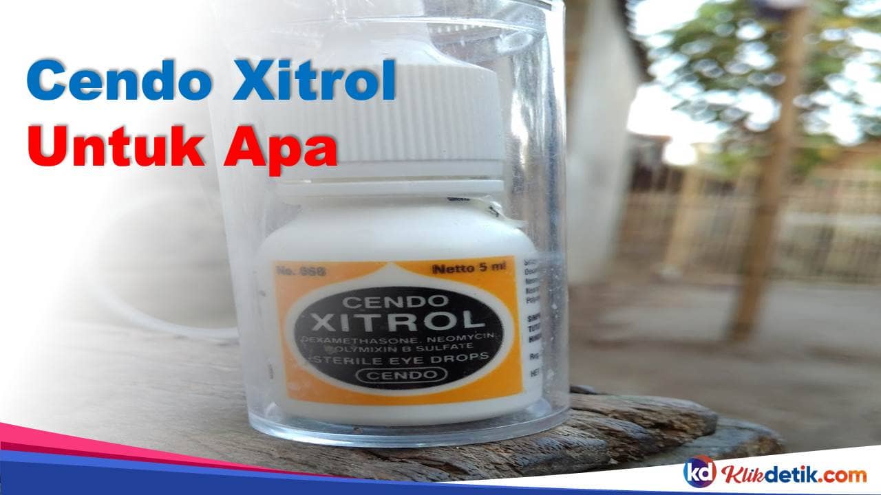 Cendo Xitrol Untuk Apa