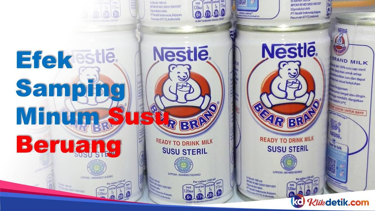 Efek Samping Minum Susu Beruang
