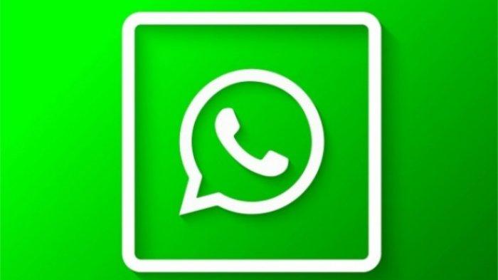Apa Itu Aplikasi Whatsapp Aero
