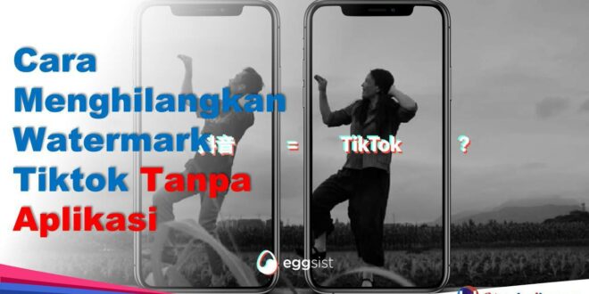 Cara Menghilangkan Watermark Tiktok Tanpa Aplikasi