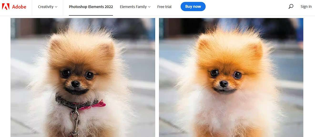 Aplikasi Pengedit Foto Terbaik Adobe Photoshop Elements