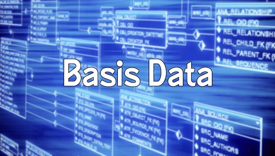 Fungsi dari Perangkat Lunak Aplikasi Adalah Basis Data