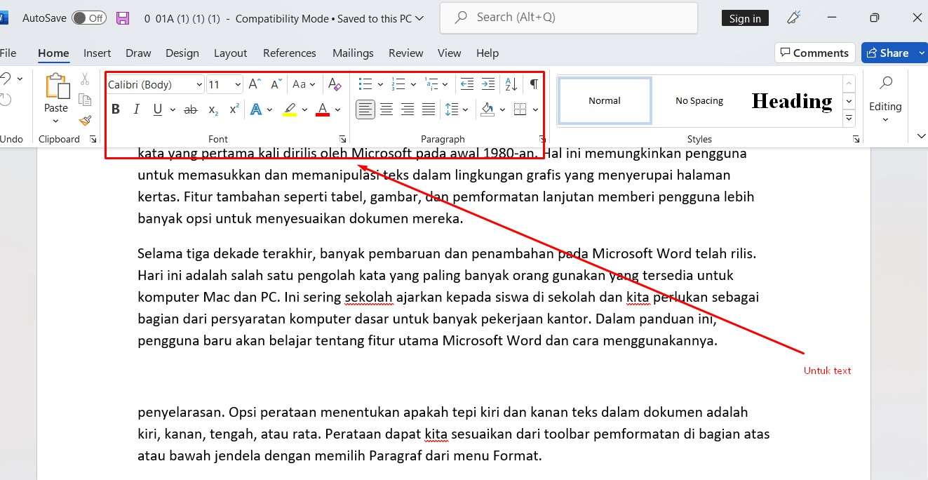 Text di MS Word