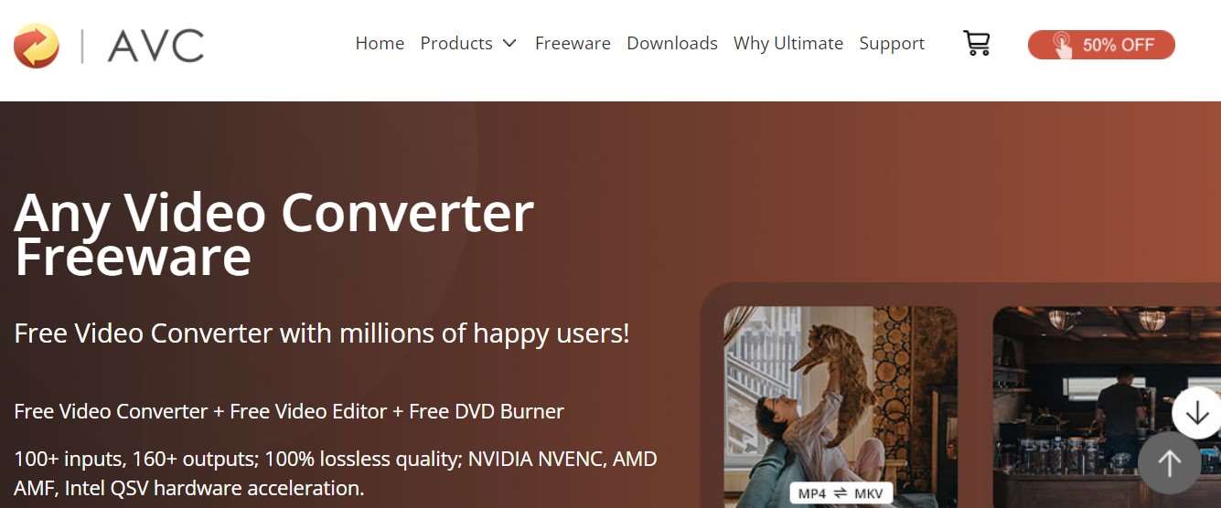 Download Converter Mp4 to Mp3 Gratis Any Video Converter Freeware