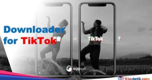Downloader for TikTok