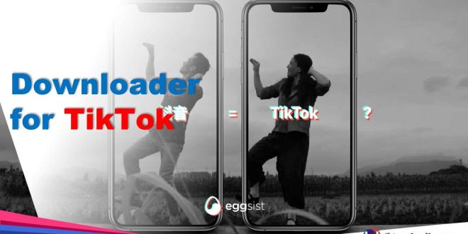 Downloader for TikTok