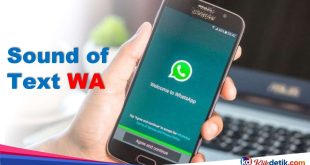 Sound of Text WA