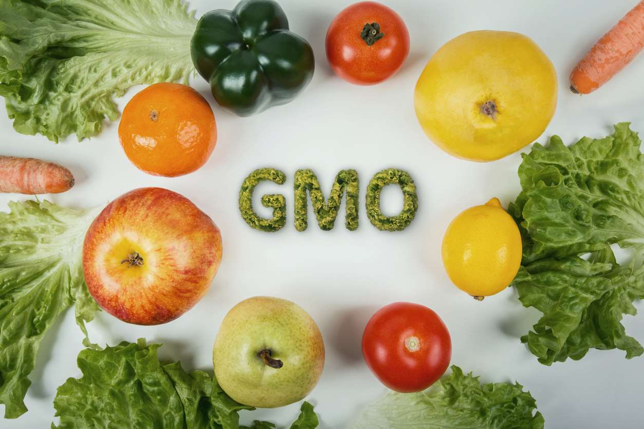 Teknologi Pangan Adalah GMO