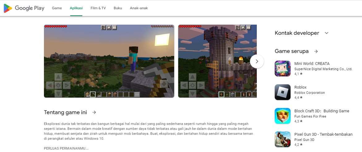 Tentang Minecraft