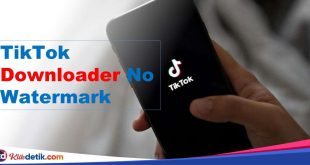 TikTok Downloader No Watermark