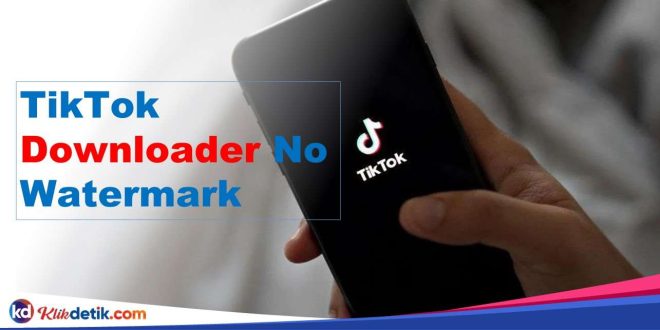 TikTok Downloader No Watermark