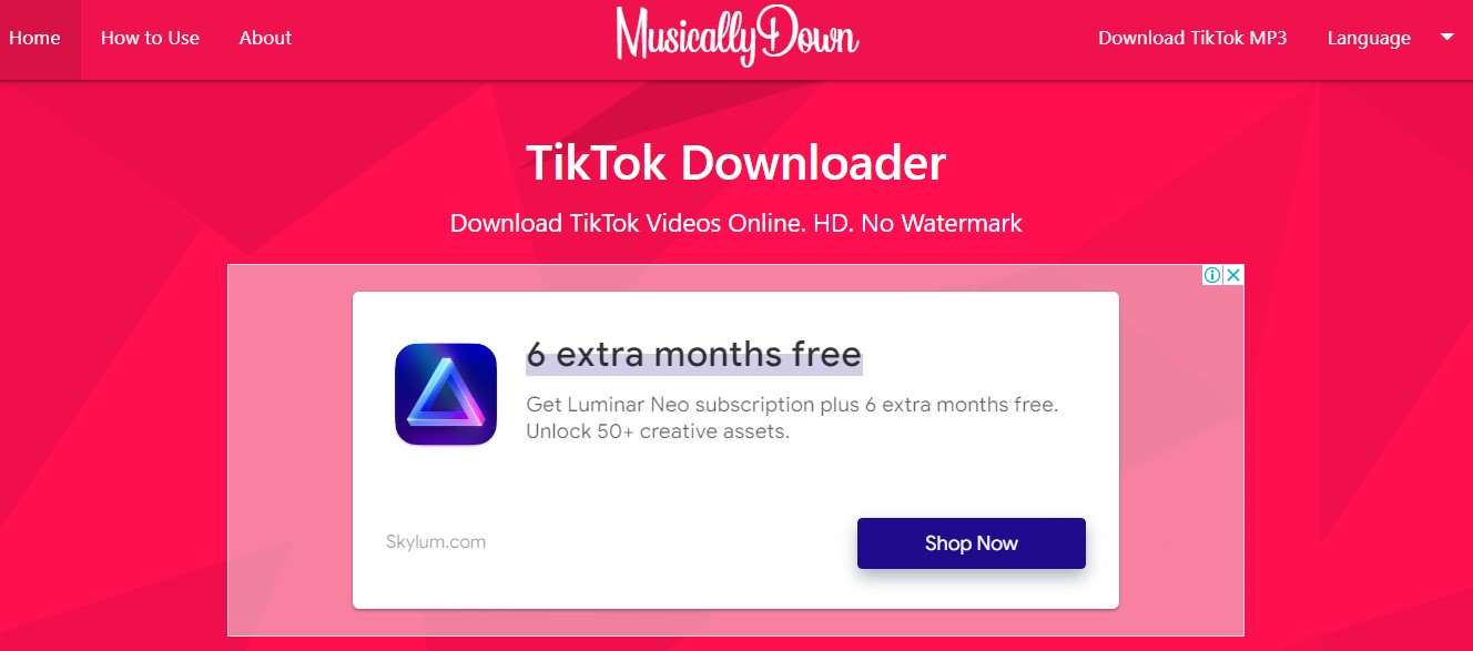 TikTok Downloader No Watermark MusicallyDown