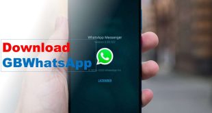 Download GBWhatsApp