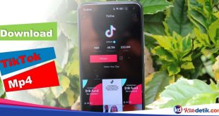 Download TikTok Mp4