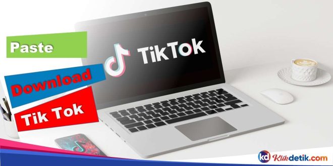 Paste Download Tik Tok