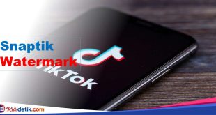 Snaptik Watermark