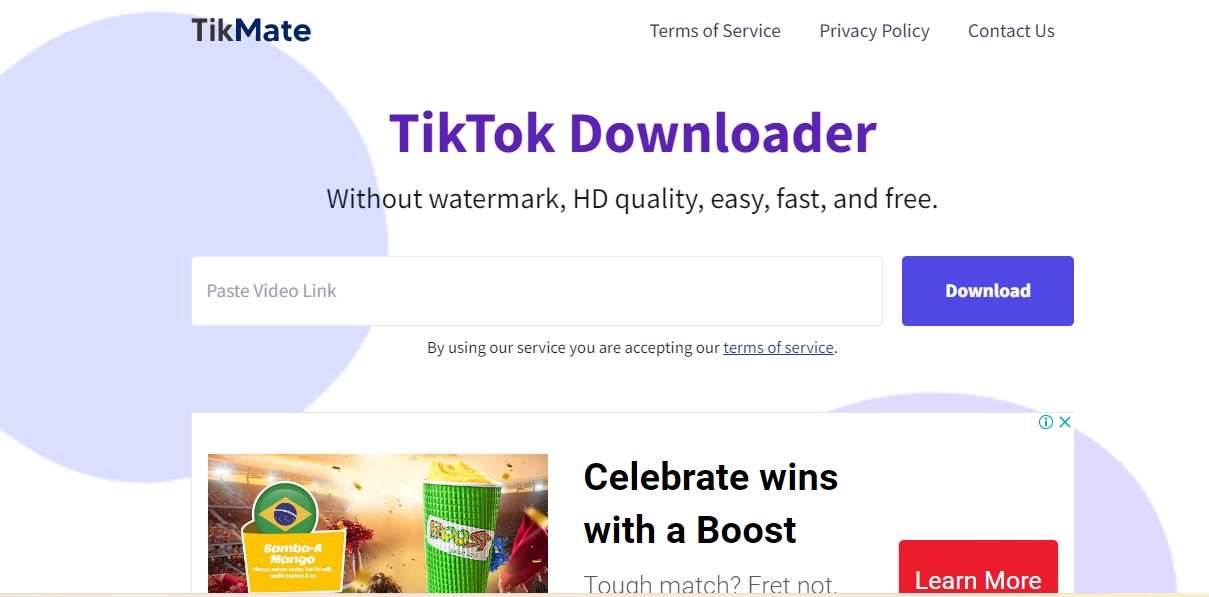 TikMate.app