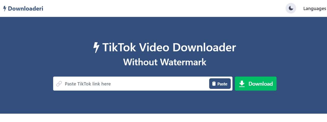 TikTok Mp3 Downloader Downloaderi