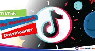 Tiktok No Watermark Downloader