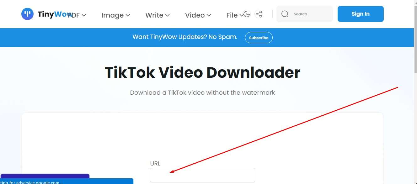 TinyWow TikTok Video Downloader