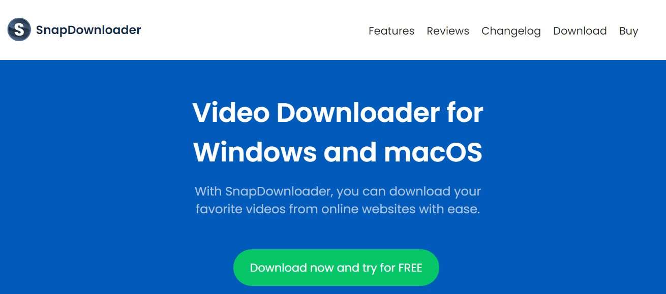Download Link Video TikTok SnapDownloader