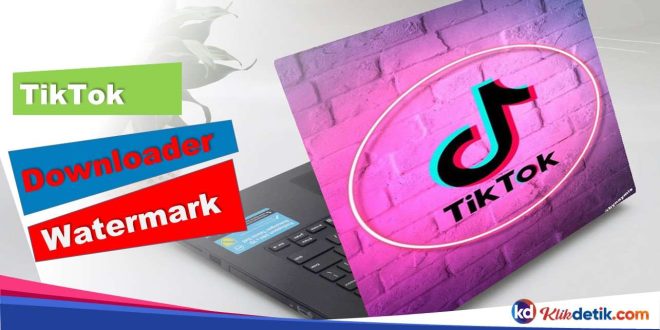 TikTok Downloader Watermark