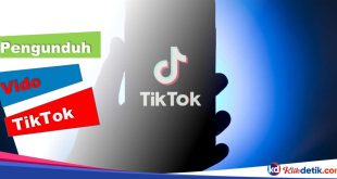Pengunduh Video TikTok