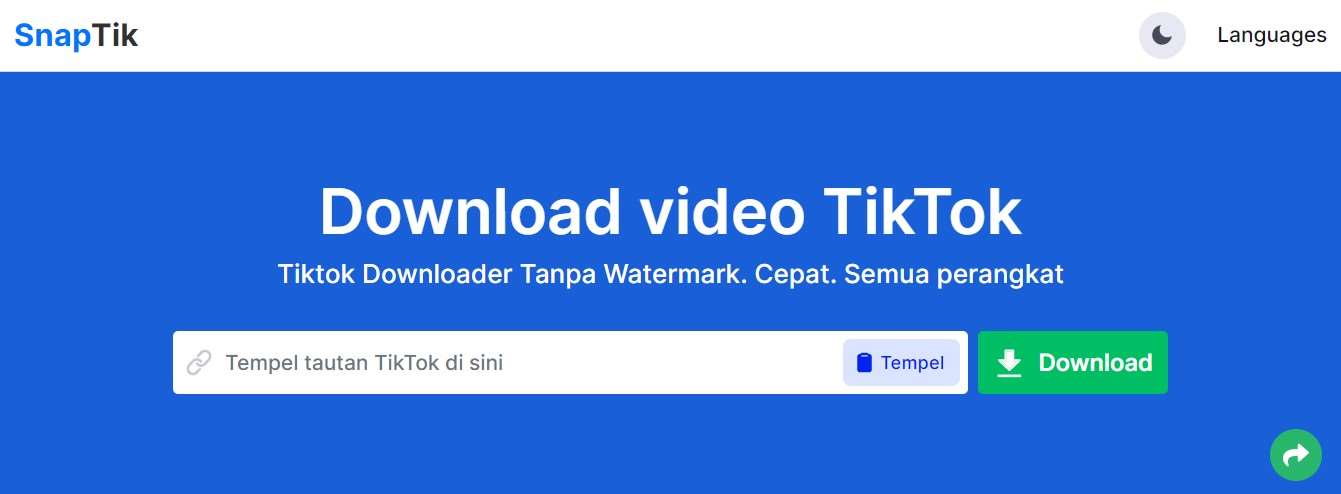 Salin Link TikTok Tanpa Watermark SnapTik