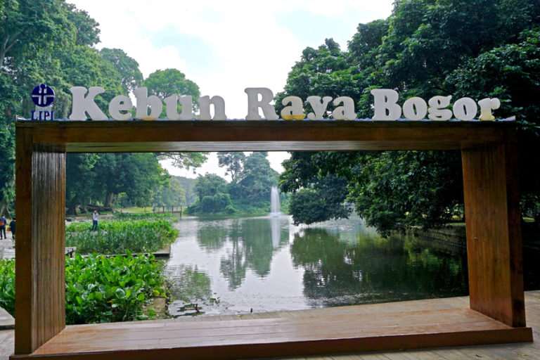 Tempat Wisata di Bogor Kebun Raya Bogor