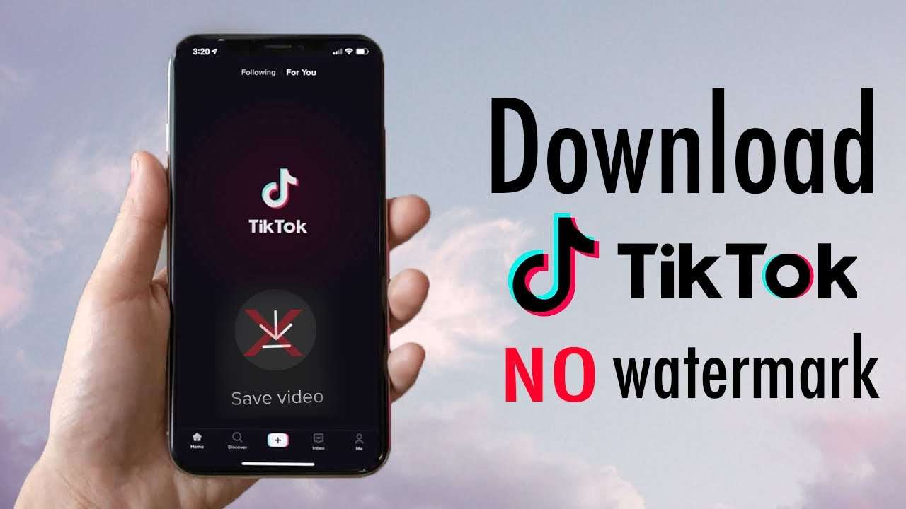 TikTok Save No Watermark Kesimpulan