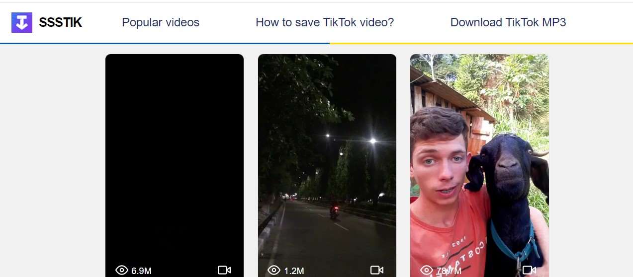 SS TikTok no watermark . Apakah Aman