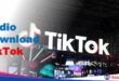 Audio Download TikTok