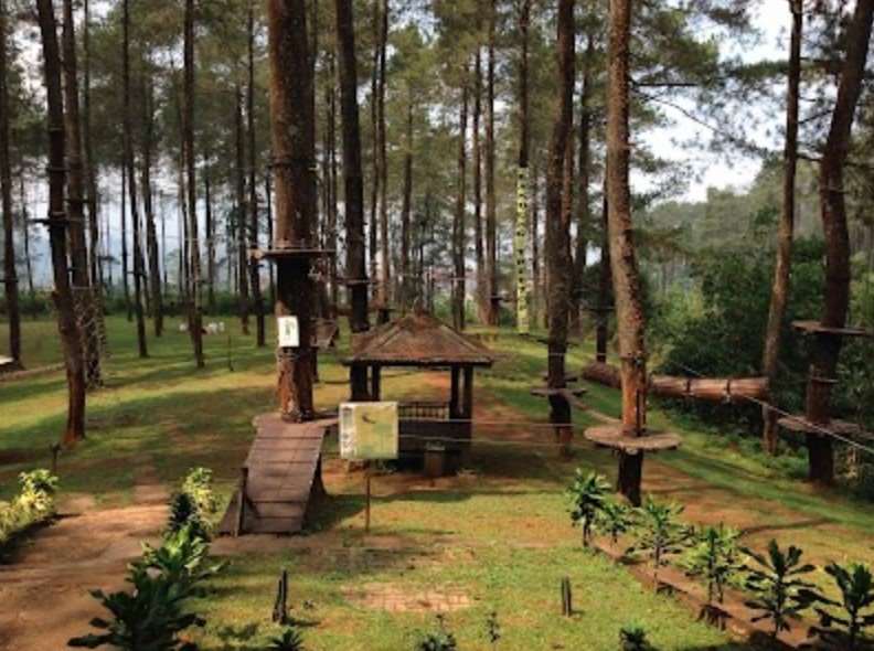 Bandung Treetop Adventure Park