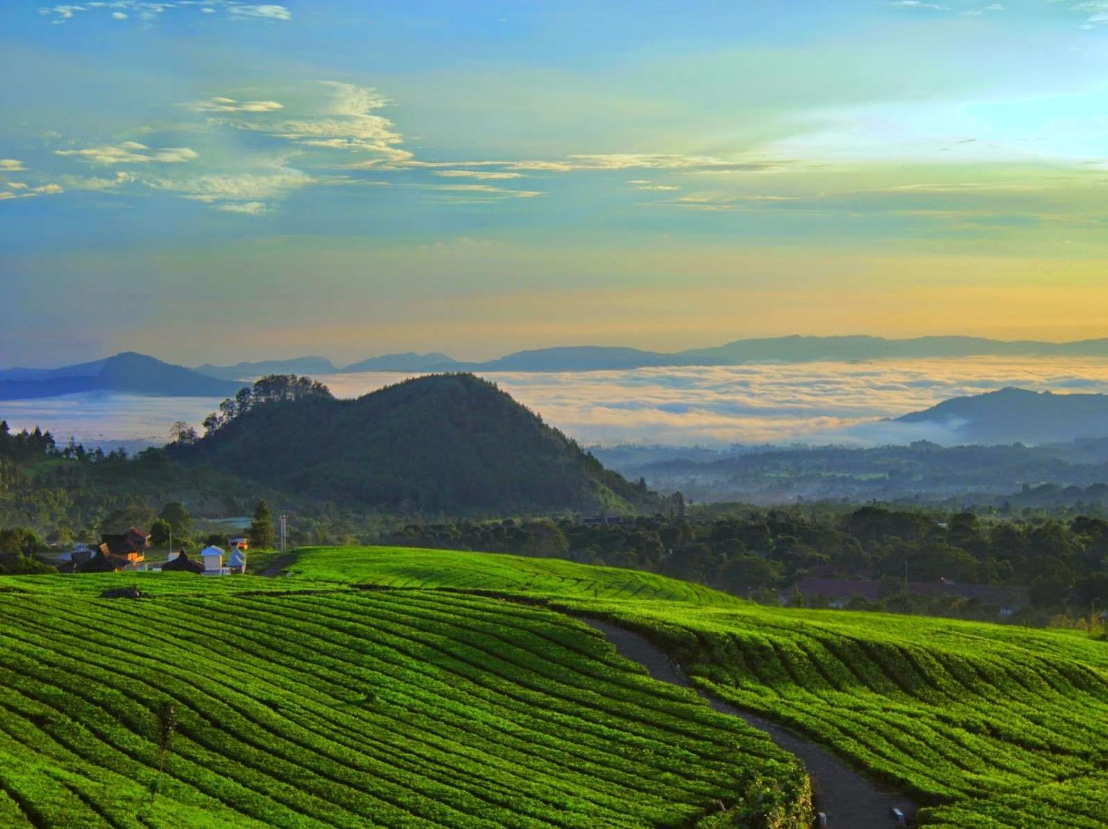 Kebun Teh Ciater Subang