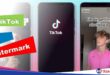 SS TikTok No Watermark