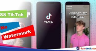 SS TikTok No Watermark