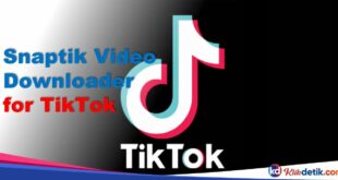 Snaptik Video Downloader for TikTok