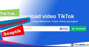 TikTok Downloader - Snaptik