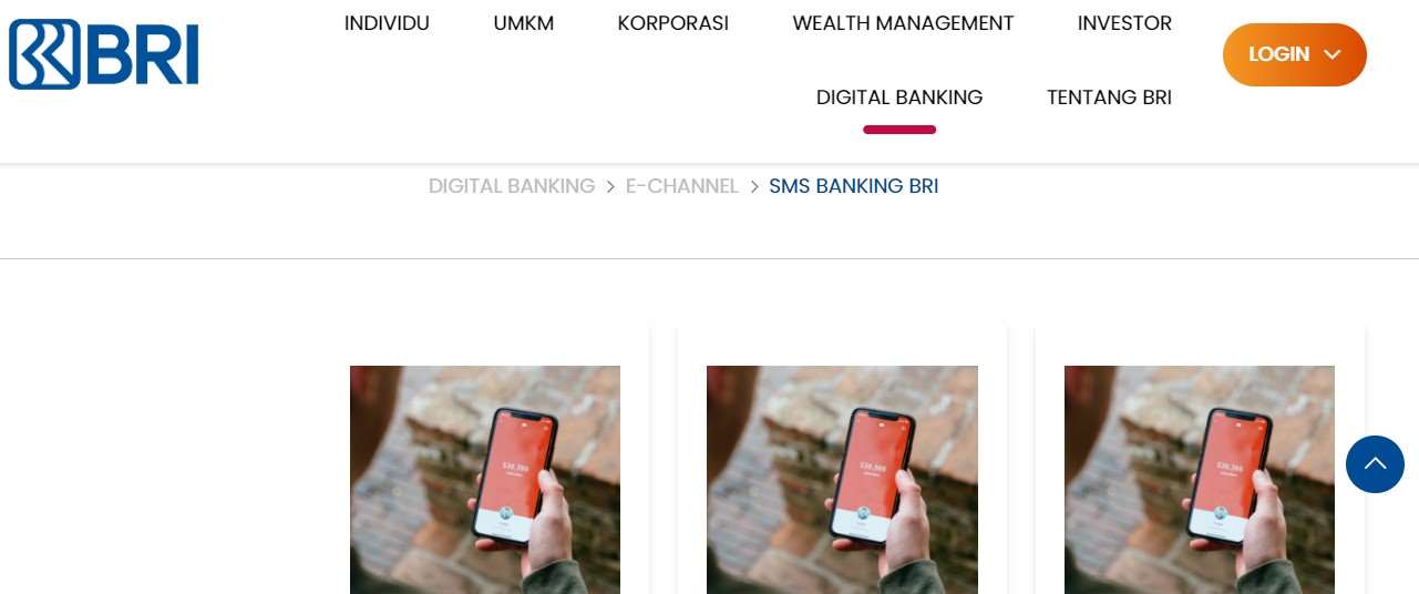 Cek Saldo BRI SMS Banking