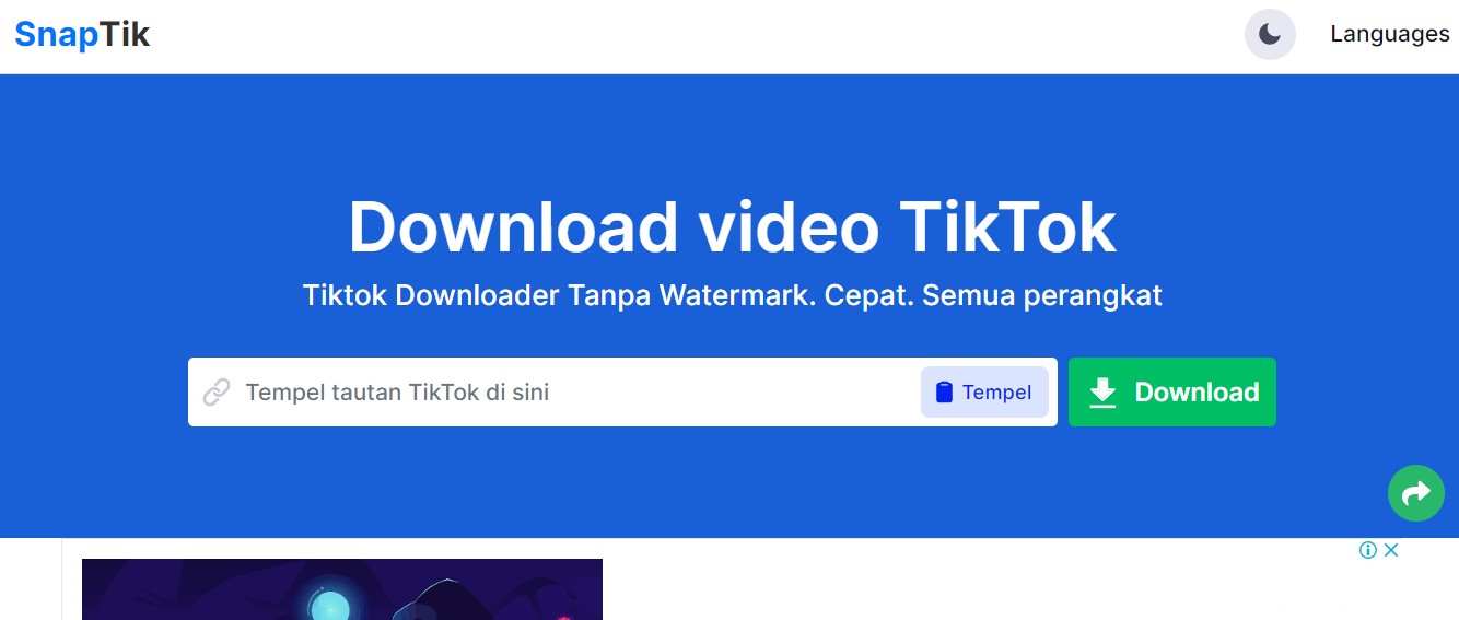 Download from Tik Tok Snaptik