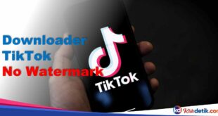 Downloader TikTok No Watermark