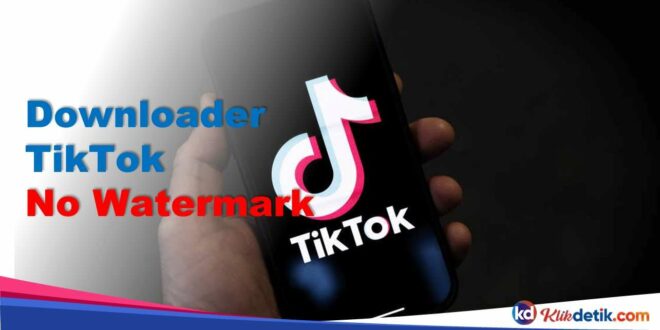 Downloader TikTok No Watermark