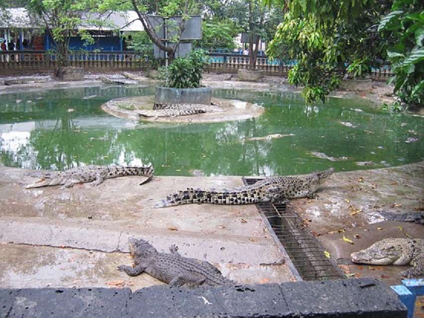 Penangkaran Buaya Blanakan