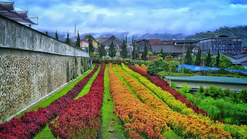 Tempat Wisata di Lembang Rainbow Garden