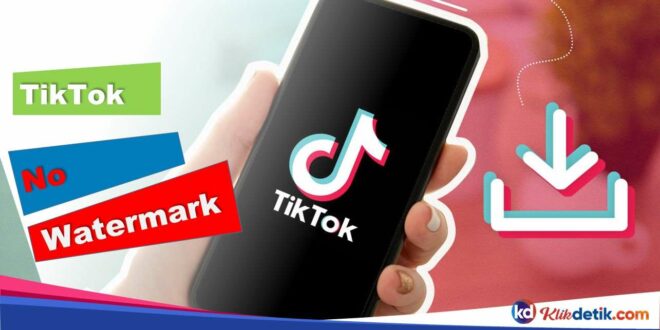 TikTok No Watermak