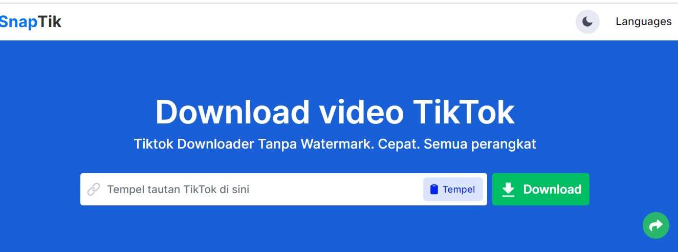 Unduhan TikTok Tanpa Tanda Air SnapTik